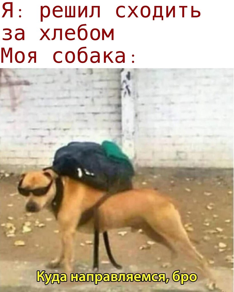  - 20  2020  19:04