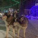 ���� Lyubov, ������, 55 ��� - ��������� 3 ������ 2021 � ������ ���� ����������