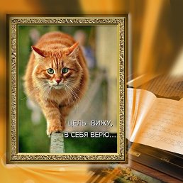 ����� ������, ���������
