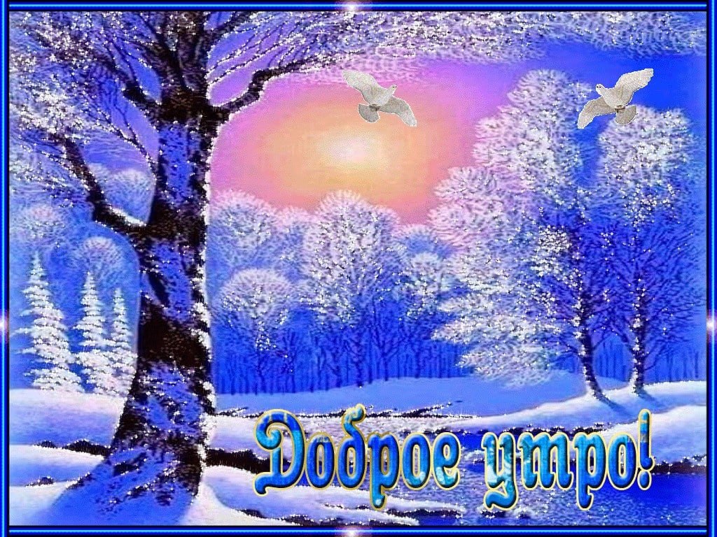   ,    . - 19  2020  00:42 - 10