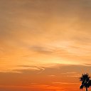 ���� �����, �������, 54 ���� - ��������� 29 ������� 2020 � ������ ���� ����������