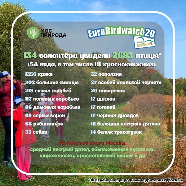 2693 птицы увидели участники Eurobirdwatch-2020 на природных территориях Москвы. 3-4 октября в ...