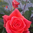 ���� Denis, �������� - ��������� 6 ������ 2020 � ������ ������ - ���� ))�