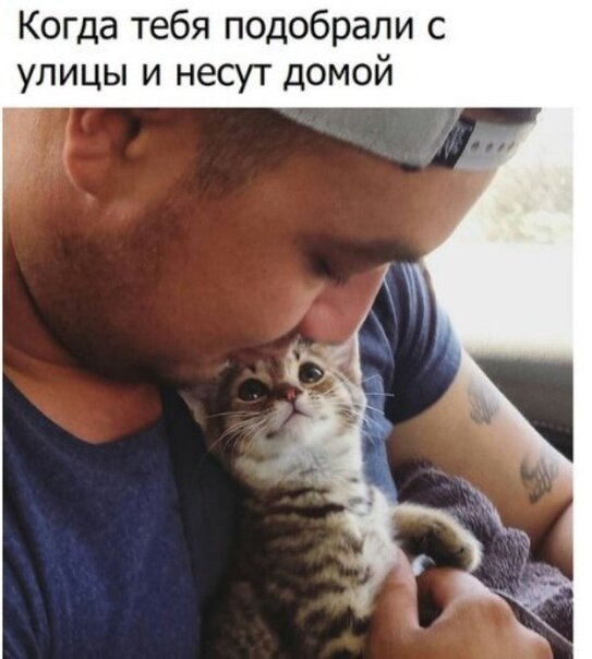    - 3  2020  19:09