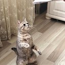 ���� ������, �����������, 51 ��� - ��������� 23 ������� 2020 � ������ ���� ����������