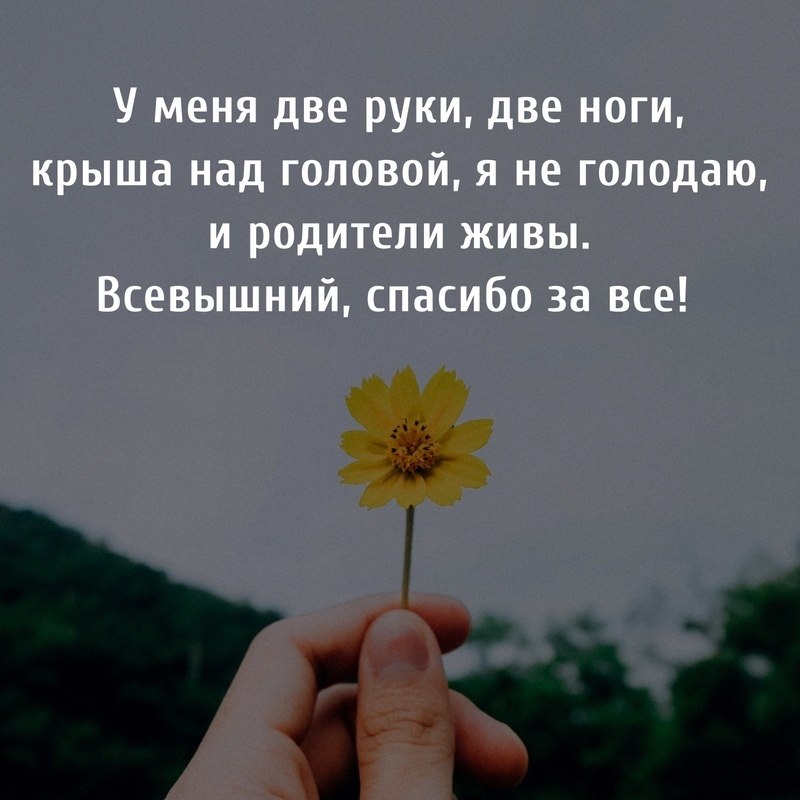 Красиво сказано . . . - 5 сентября 2020 в 18:39