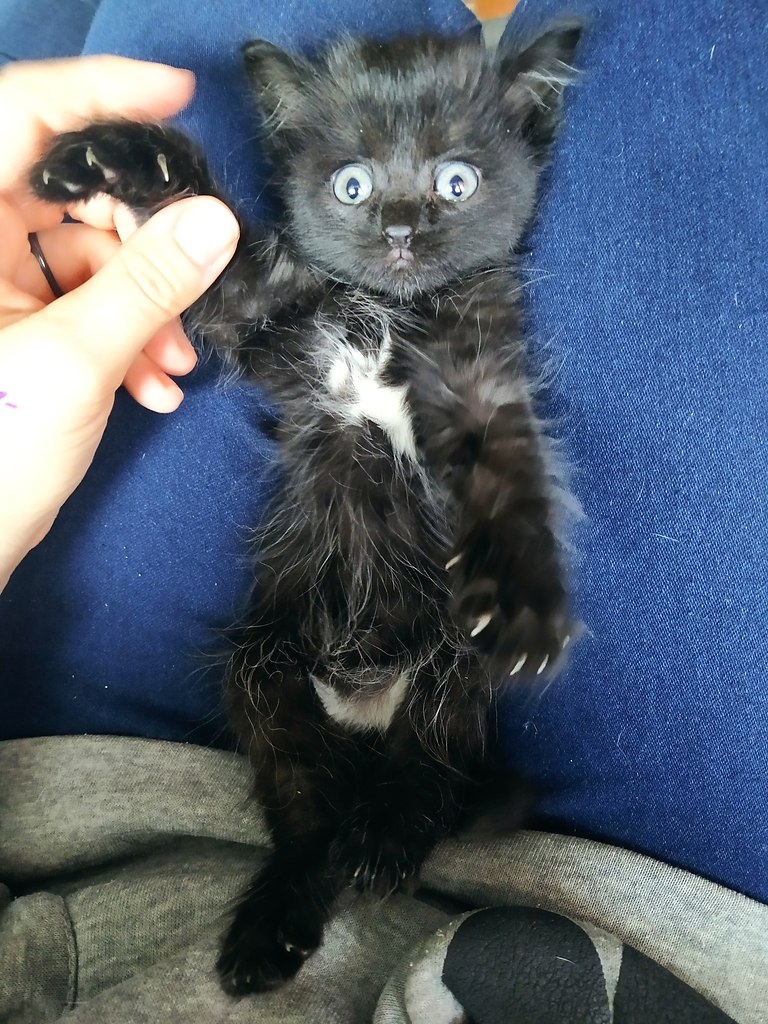 #_.  .      .     ... - 2