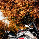 ���� �������, ������, 31 ��� - ��������� 15 ������� 2020