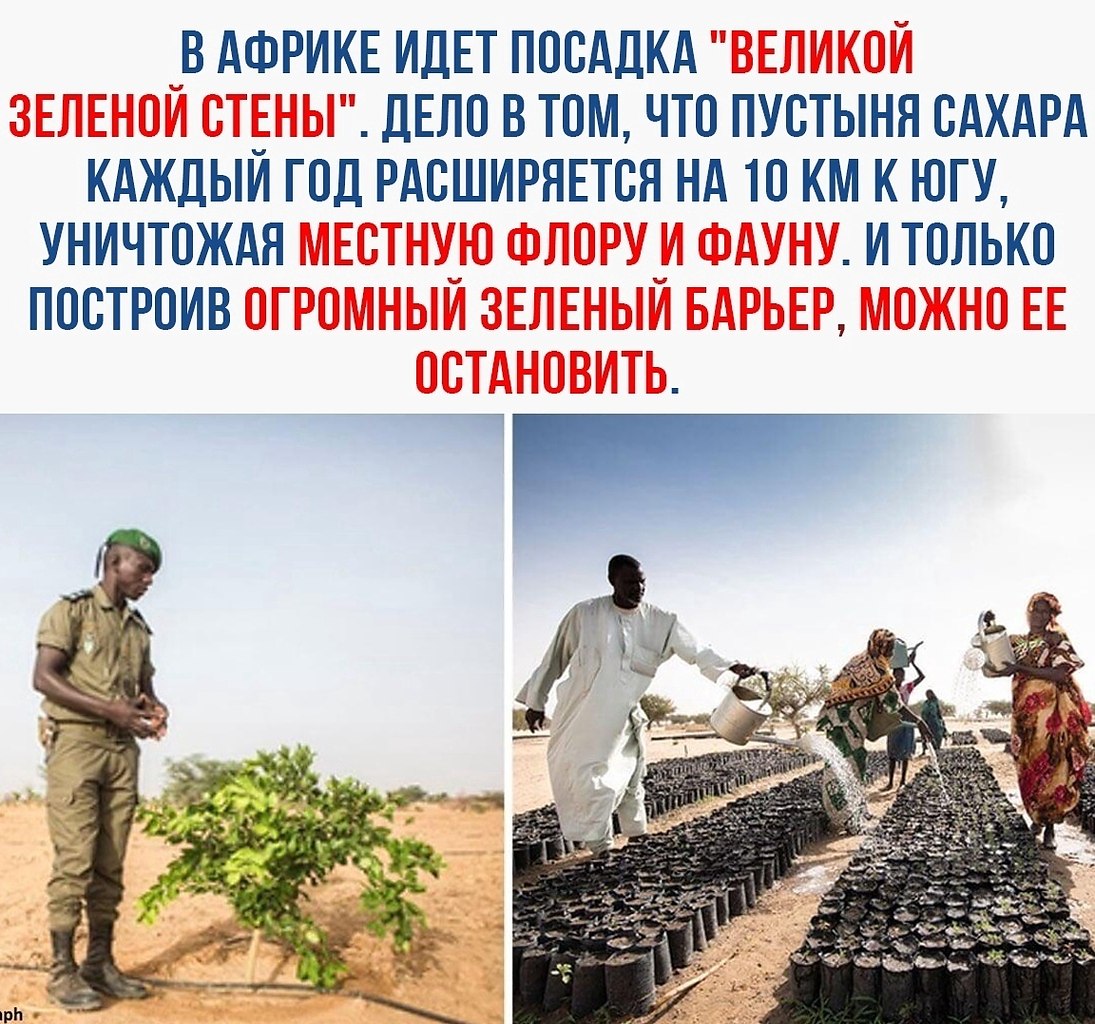 �c� o �a��e � �e��o�����x