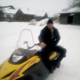 ����, ������, 37 ���