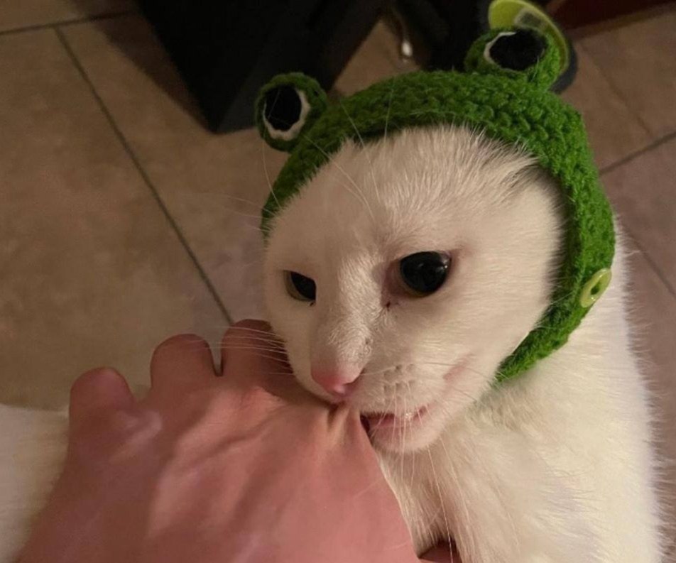   ,   