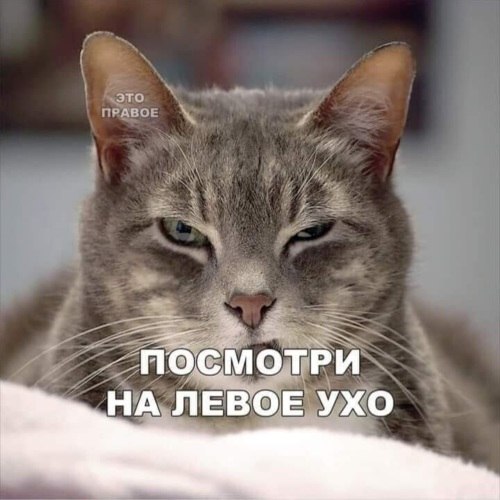   ! - 26  2021  22:28
