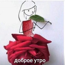 ����, ���������, 56 ���