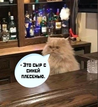 ��� ���� � ����� �� �� - 6 ������ 2021 � 12:09 - 3