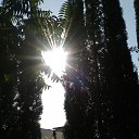 ,,,08.08.20.8.20.    2020