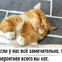 ���� ������, ����������� - ��������� 24 ����� 2021
