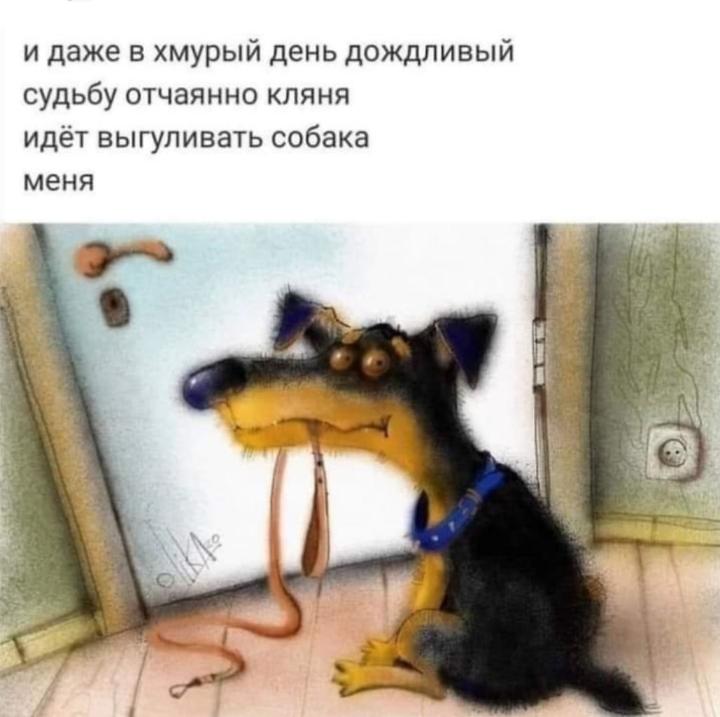   ,    . - 6  2021  17:31
