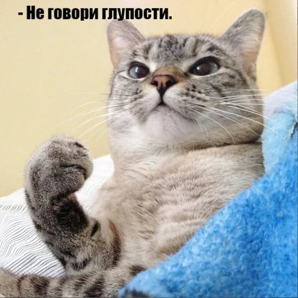       - 10  2021  17:28 - 2