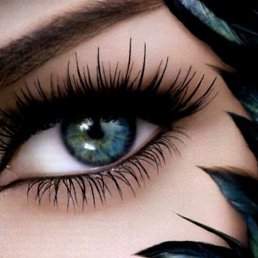 ���� ����, ������ - ��������� 19 ������ 2020