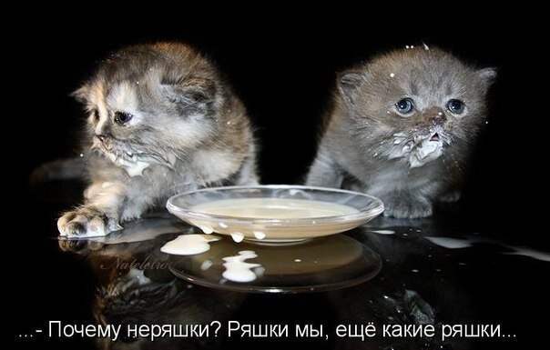    - 12  2021  08:23