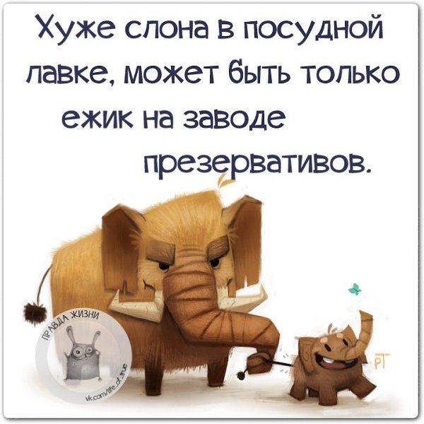 ������ ����� - 10 ����� 2021 � 01:38