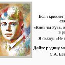  ,  , 39  -  19  2020    