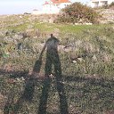  Alex, , 70  -  15  2020    -  15 