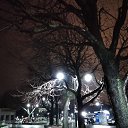 ���� �����, �����-���������, 51 ��� - ��������� 25 ������� 2021 � ������ �Istanbul�
