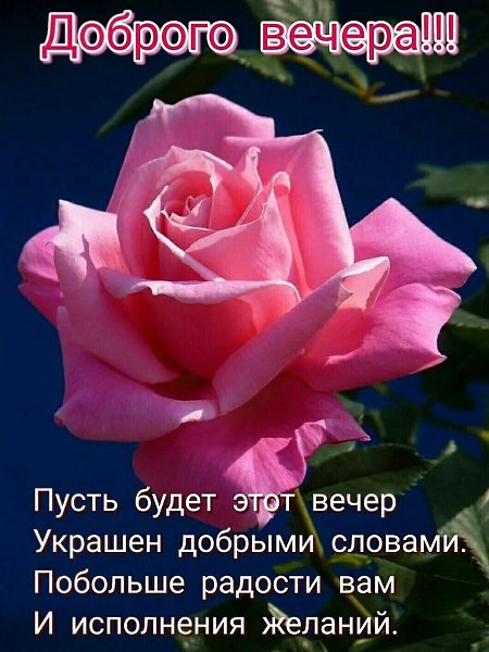   ,    . - 18  2021  17:29