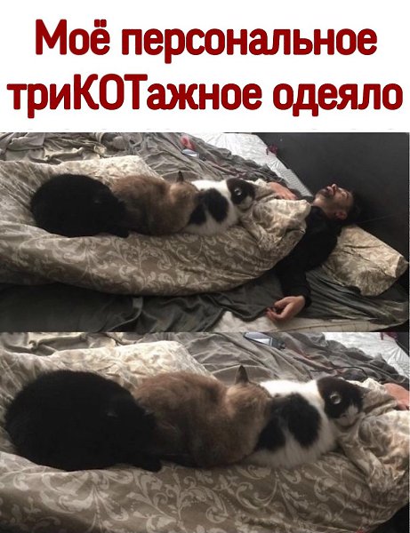 ������ - 7 ������� 2020 � 17:48