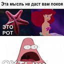 ,  -  11  2021    