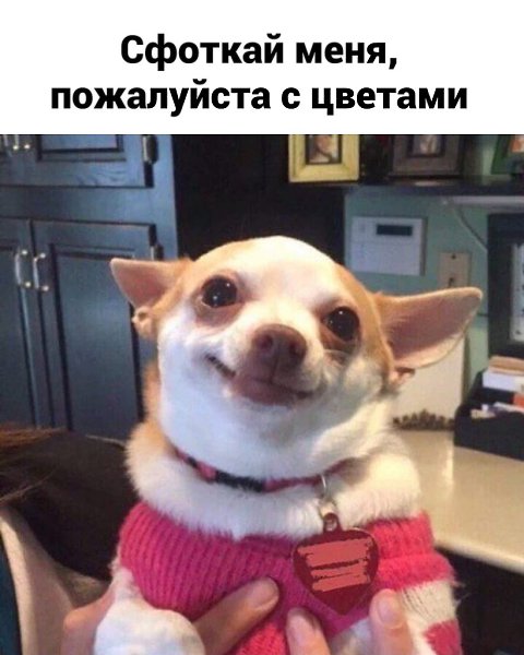 Как бы женщина ни пыталась донести информацию до мужчины с помощью намеков — он их просто не поймёт.