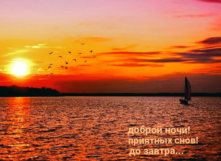   ,    . - 2  2020  21:26 - 7