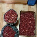 ���� ����, ������ - ��������� 5 ������� 2021