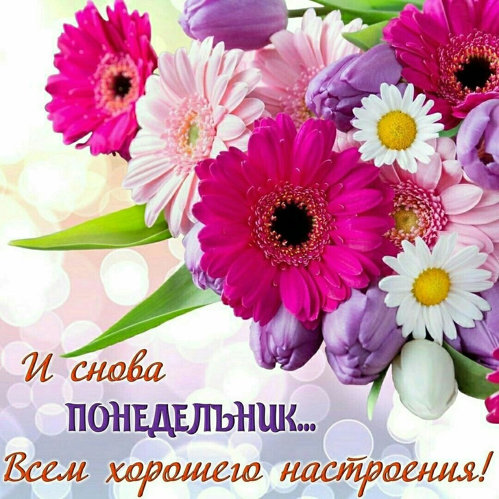   ,    . - 22  2021  00:07 - 4