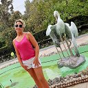 ���� �����, �����-��������� - ��������� 20 �������� 2020 � ������ ���� ����������
