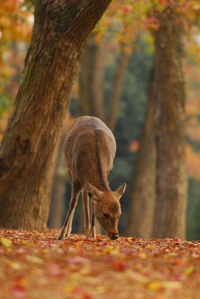  ,   !       ,     ... - 2