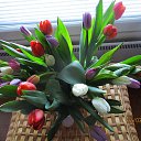 ������� �������� ����� �������� ��������� � ���� ����������� ������... �� ������� �������������, ����������