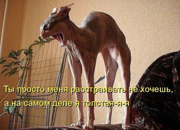    - 20  2020  09:20