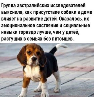 LIFE -  - 26  2020  18:50