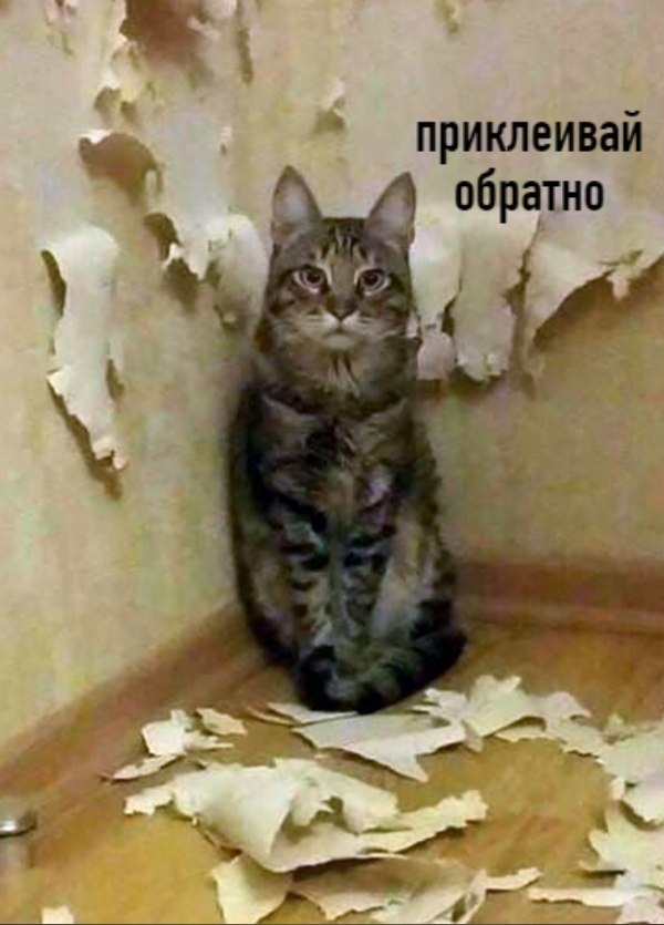         - 2