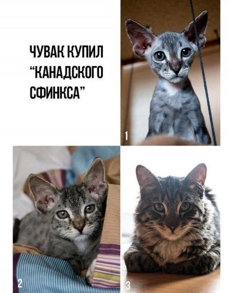    - 3  2020  19:09