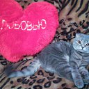 ���� �������, ������������ - ��������� 21 ������ 2021 � ������ ���� ����������