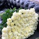 ���� ������, �����, 54 ���� - ��������� 11 ������� 2020 � ������ ��������