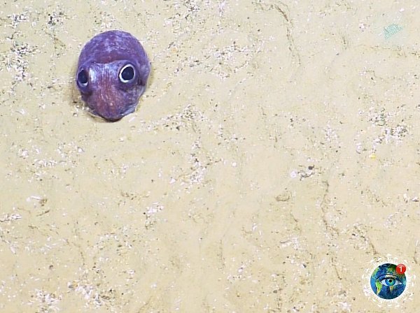 a   o   o pcoa a  co po, o a cao   ... - 2