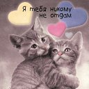 ���� �������, �����-��������� - ��������� 12 �������� 2020 � ������ ������ ��������