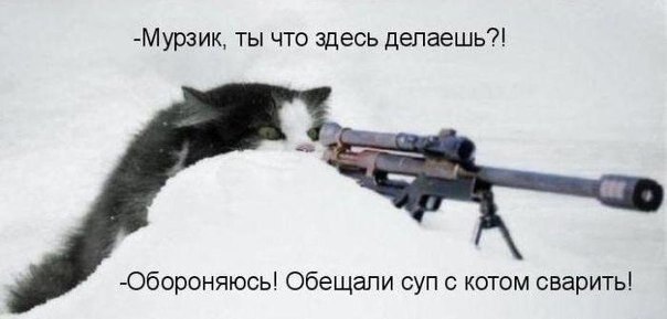    - 22  2021  14:19