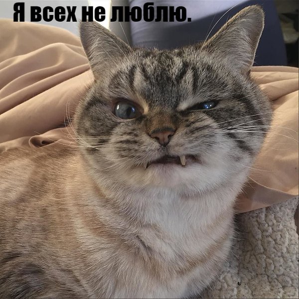       - 10  2021  17:28 - 3