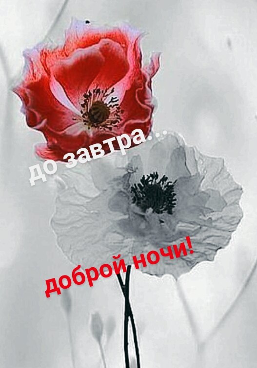   ,    . - 10  2021  20:59