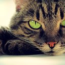 ���� ���������, ������, 48 ��� - ��������� 19 ������ 2020 � ������ ���� ����������